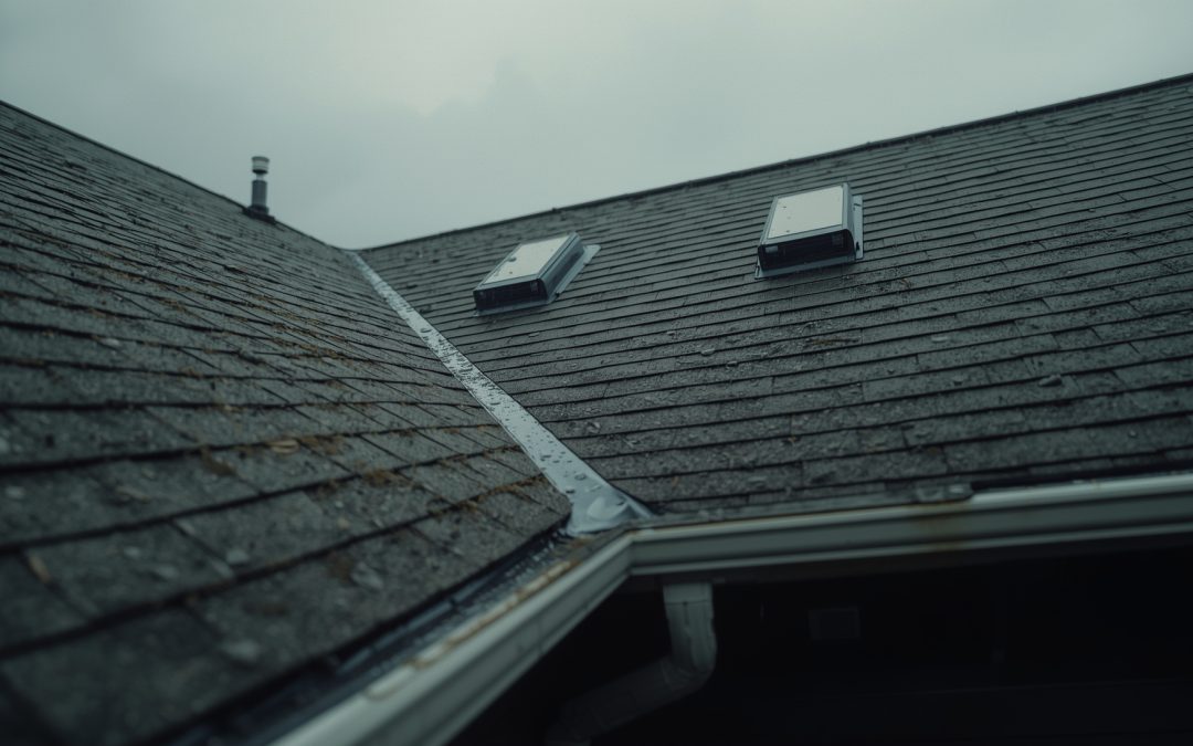 Mold Remediation in Toledo Ohio: How to Protect Your Attic from Hidden Damage